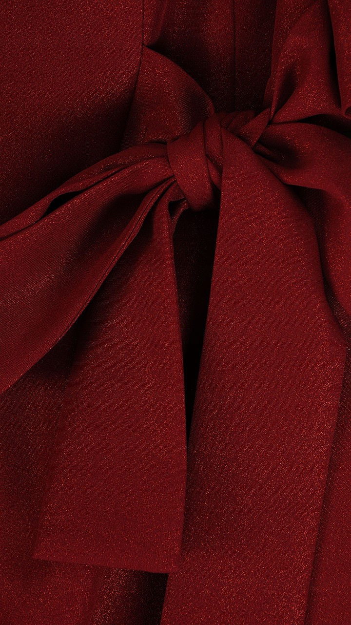 Naomi Dress | color:bordowy